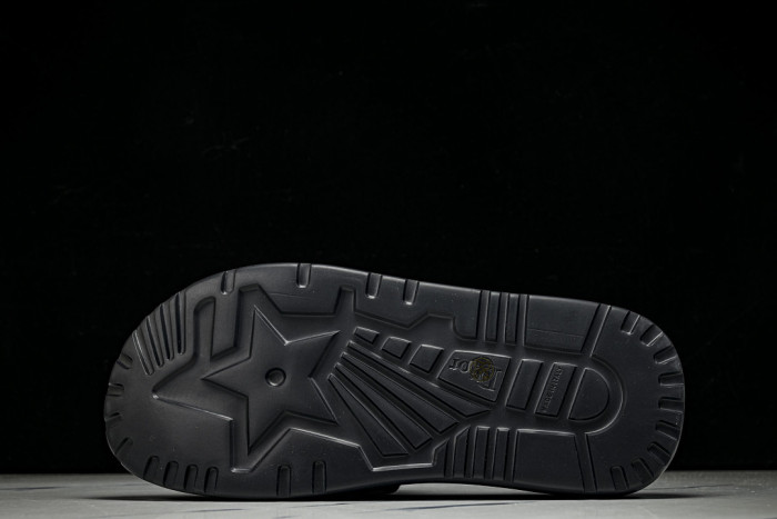 D1R* SLIDE copshoe DR-SLIDE 033