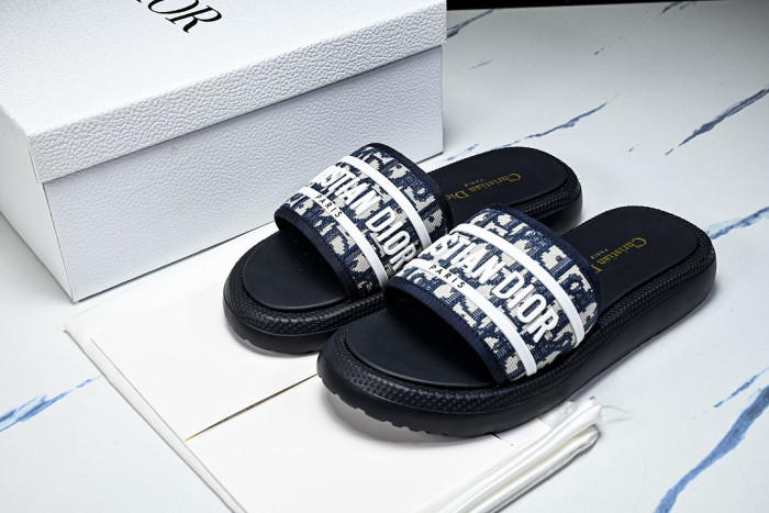 D1R* SLIDE copshoe DR-SLIDE 033