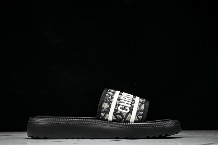 D1R* SLIDE copshoe DR-SLIDE 034