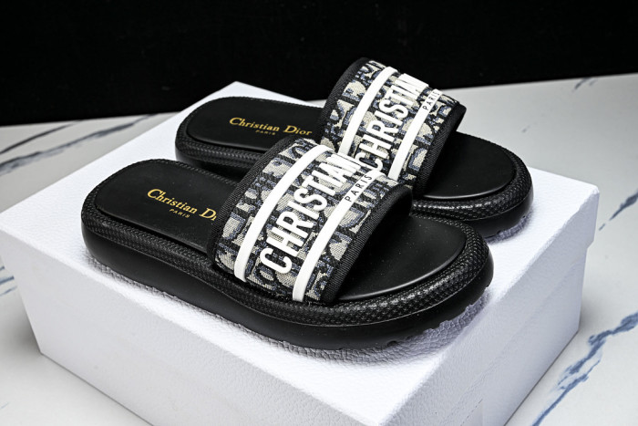 D1R* SLIDE copshoe DR-SLIDE 034