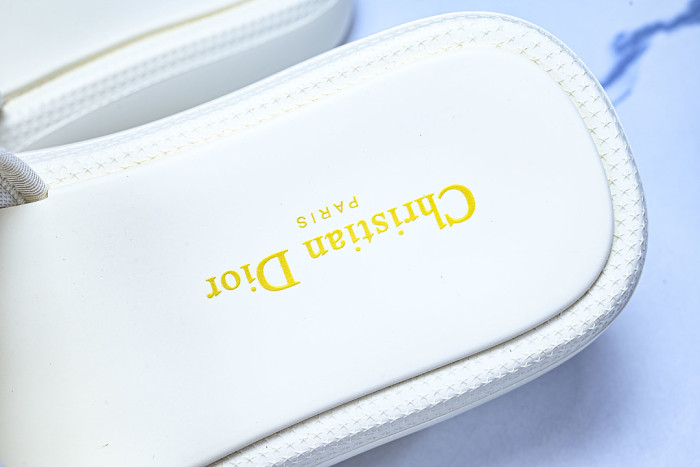 D1R* SLIDE copshoe DR-SLIDE 035