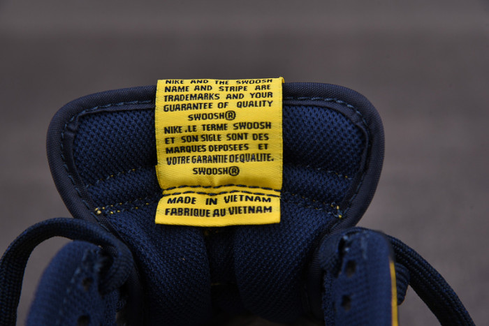 nike dunk low michigan - dd1391-700