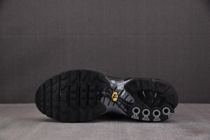 Paris Saint-Germain PSG Nike Air Max Plus IB2253-001